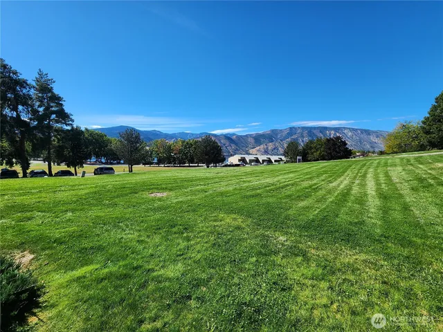 a view of a grassy field with trees