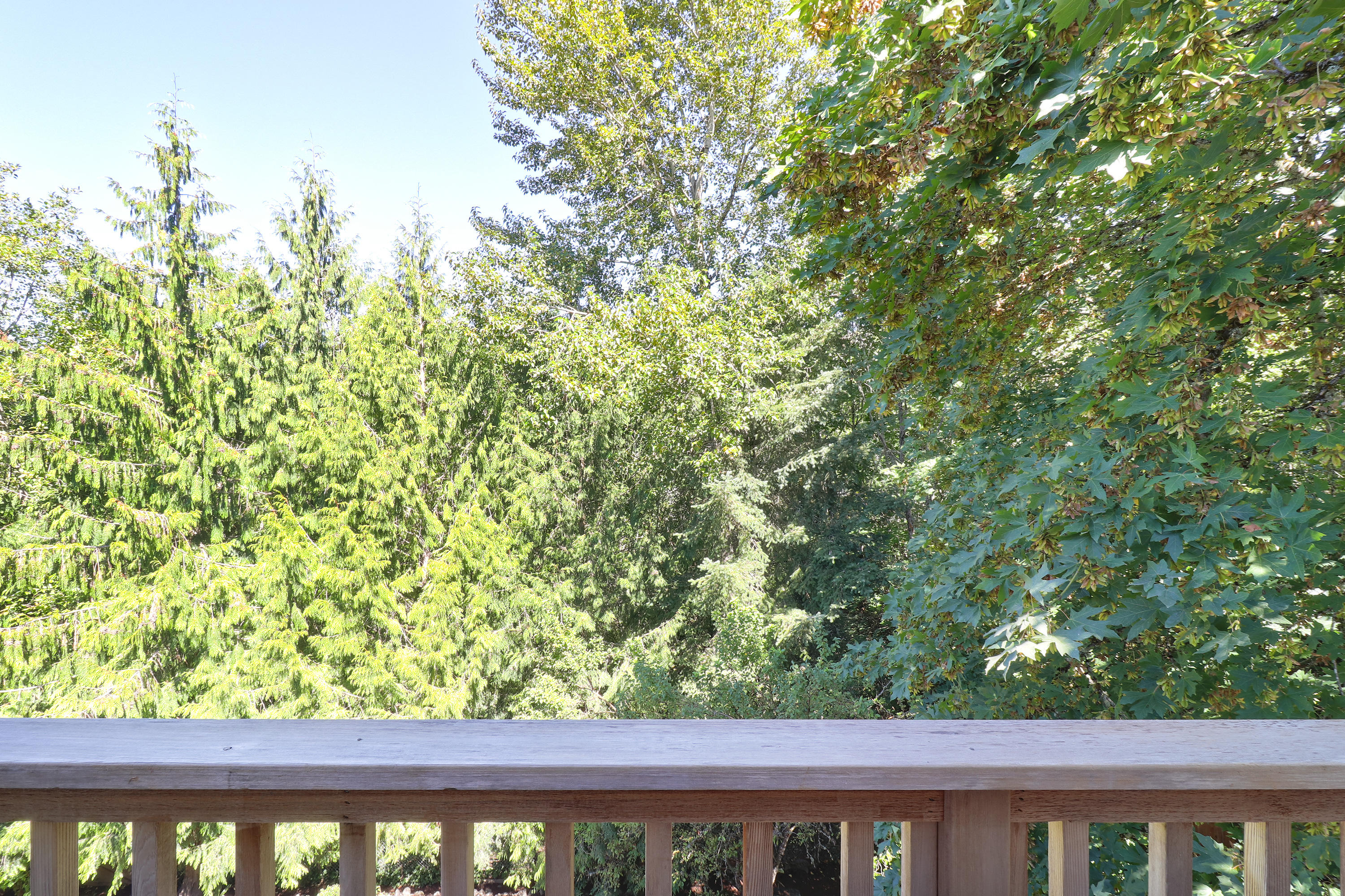 9809 Northwest Engleman Street Portland, OR 97229 - Photo 16 of 28 9809 NW Engleman St - 16