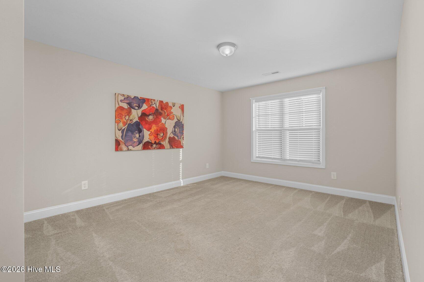 810 Mulberry Road Spring Hope, NC 27882 - Photo 24 of 36 Gallery Image 24