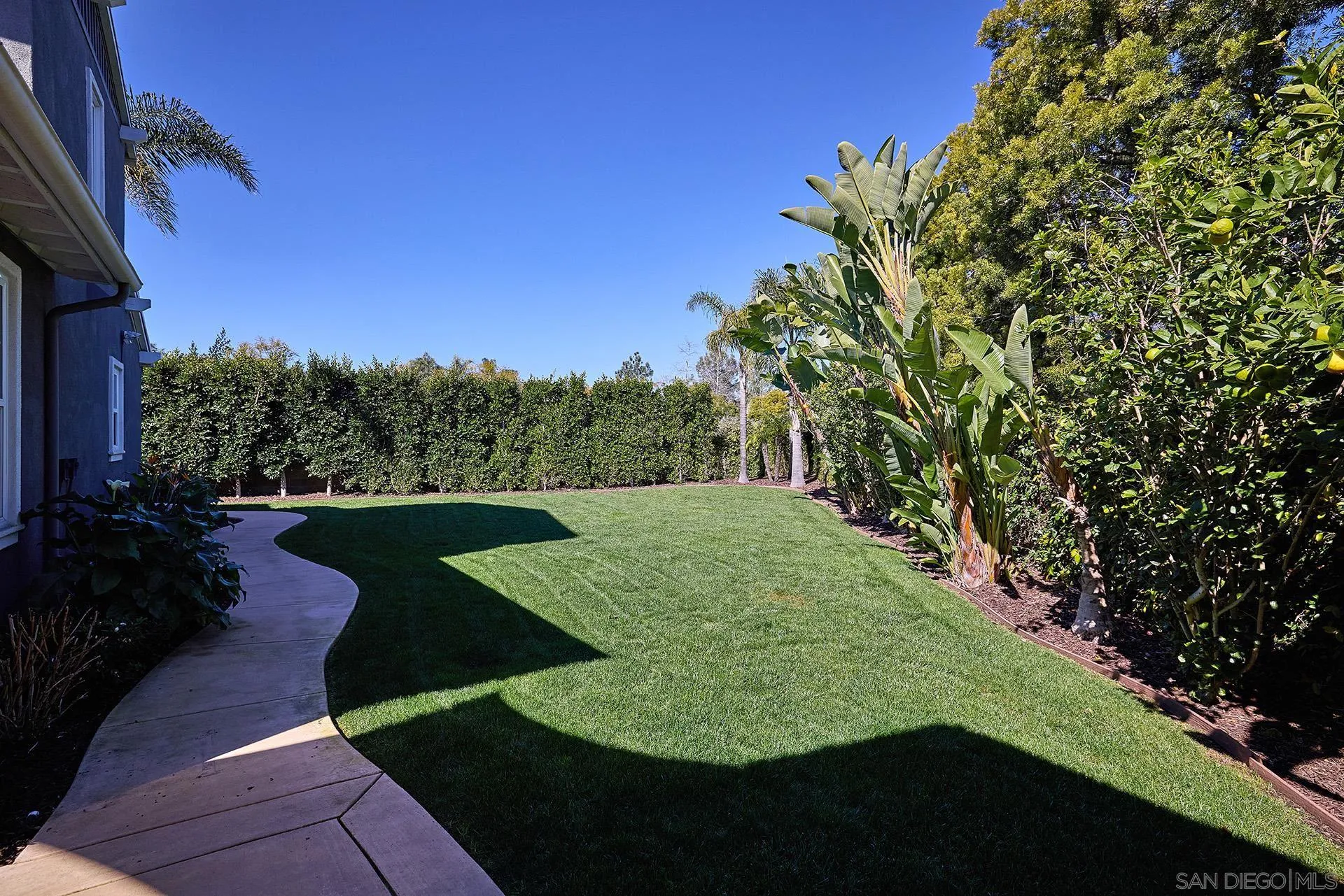 3501 Corte Romero Carlsbad, CA 92009 - Photo 34 of 48 a view of a garden