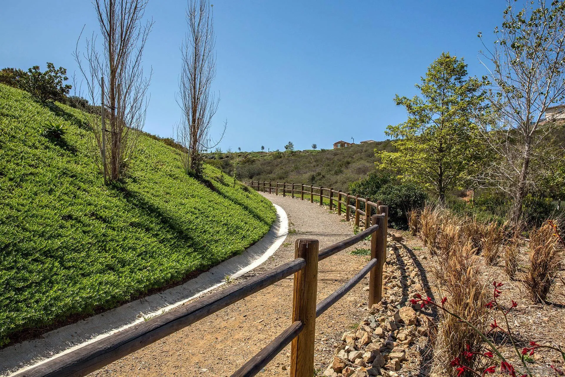 3501 Corte Romero Carlsbad, CA 92009 - Photo 48 of 48 a view of a garden from a balcony