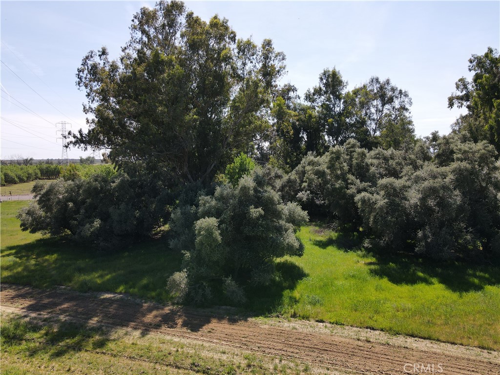 0 Corning Corning, CA 96021 - Photo 11 of 13