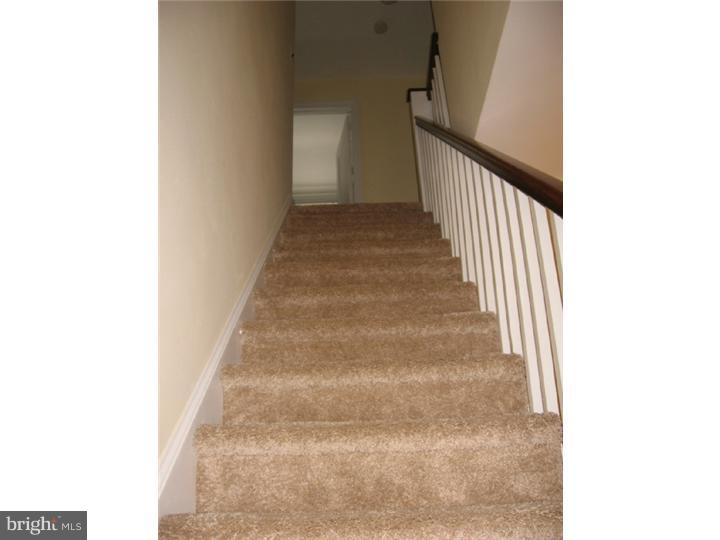 224 Signal Road Drexel Hill, PA 19026 - Photo 12 of 23