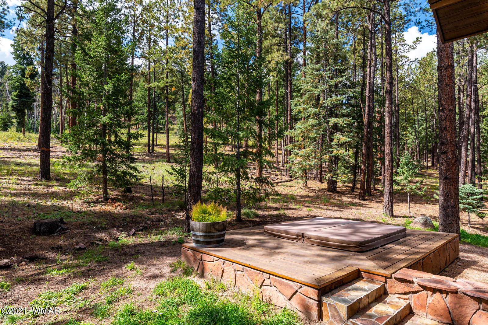 70 County Road Greer, AZ 85927 - Photo 33 of 58