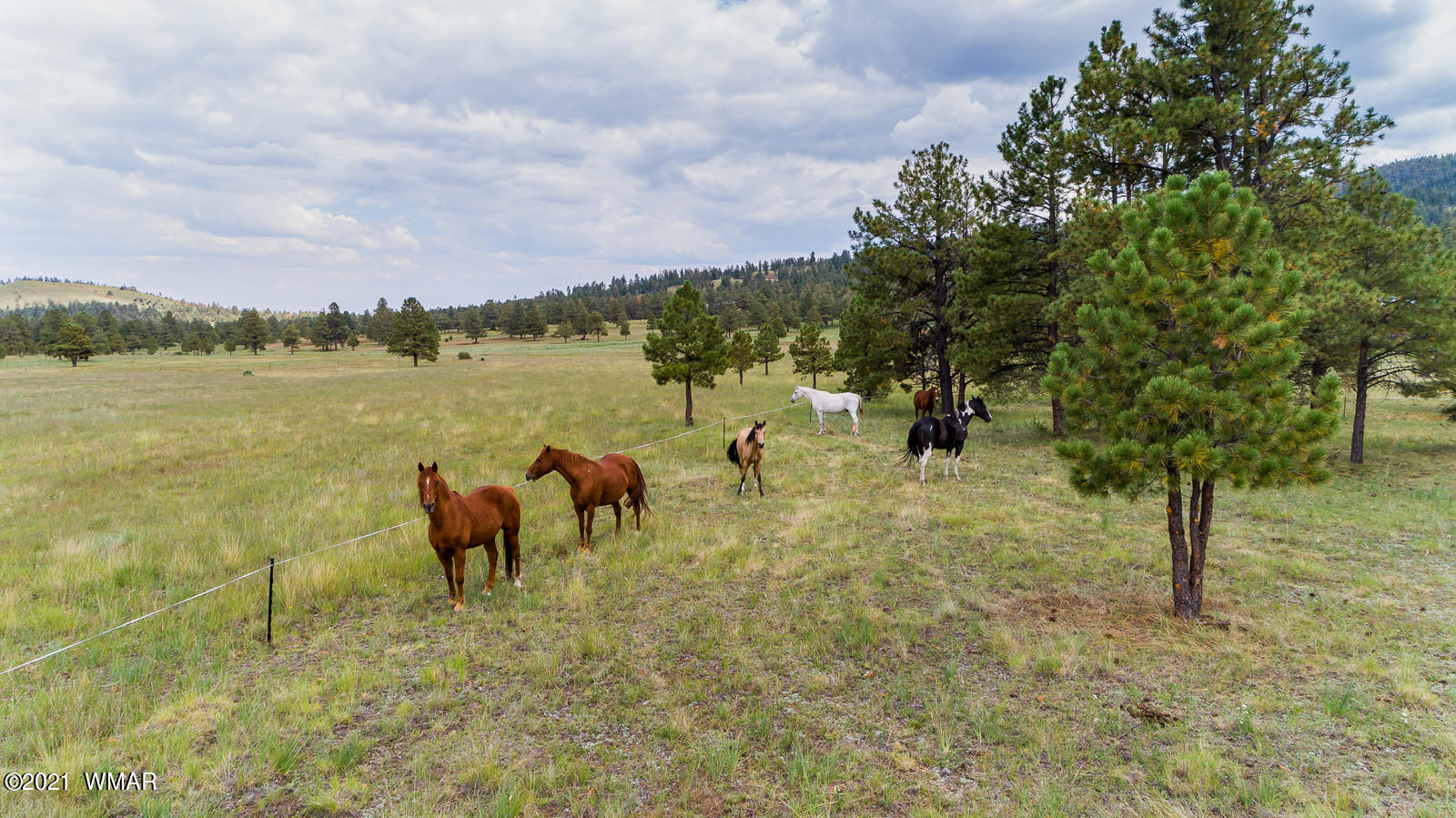 70 County Road Greer, AZ 85927 - Photo 51 of 58