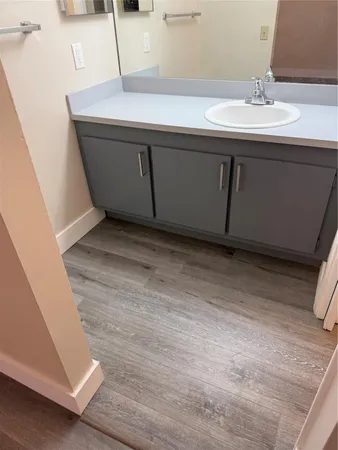 a bathroom with a sink and a mirror