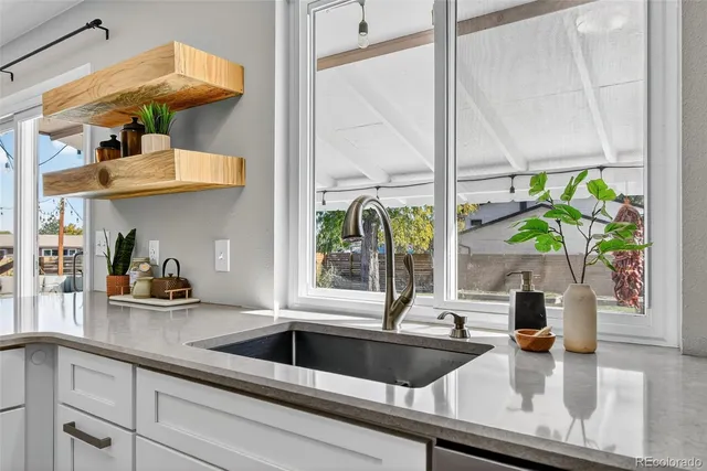a kitchen with a sink a counter and a potted plant