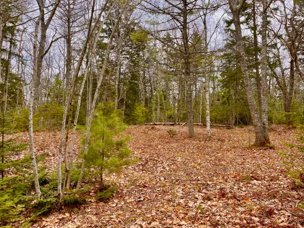 $99,000 | 92 L Russel Road, Chamberlain, ME 04541