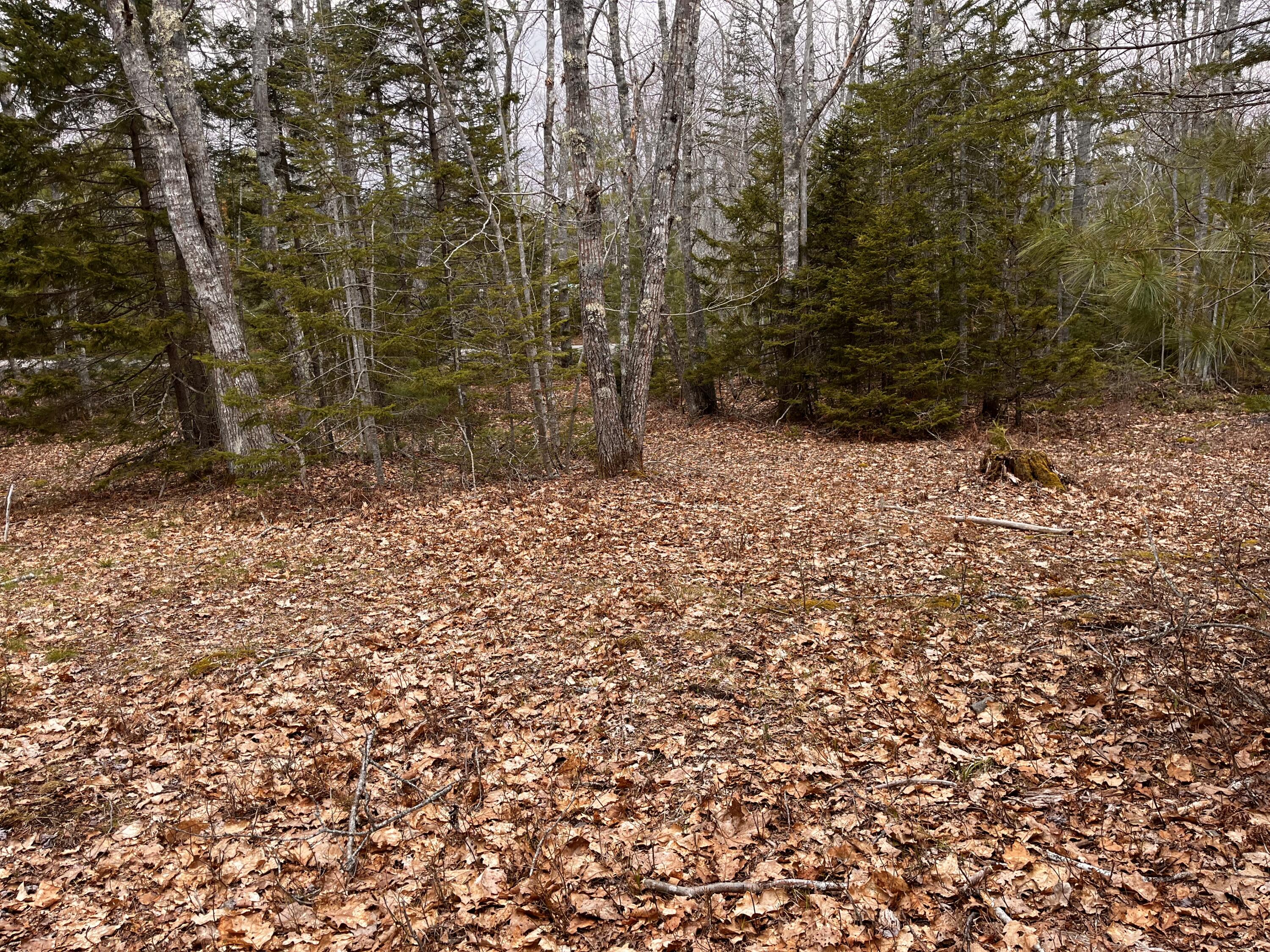 92 L Russel Road Chamberlain, ME 04541 - Photo 12 of 21 IMG_6731