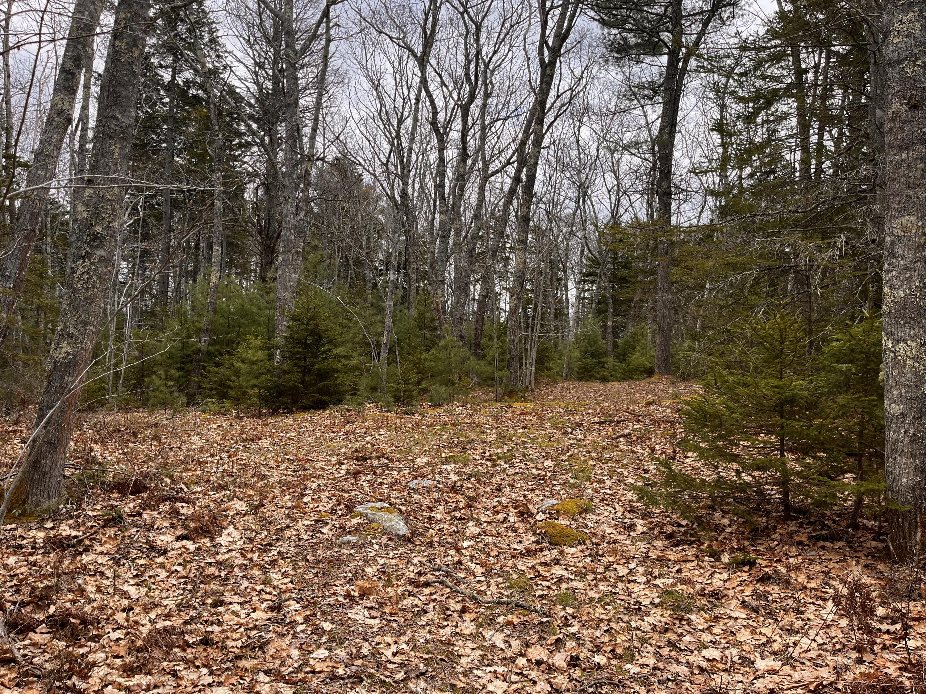 92 L Russel Road Chamberlain, ME 04541 - Photo 14 of 21 IMG_6730