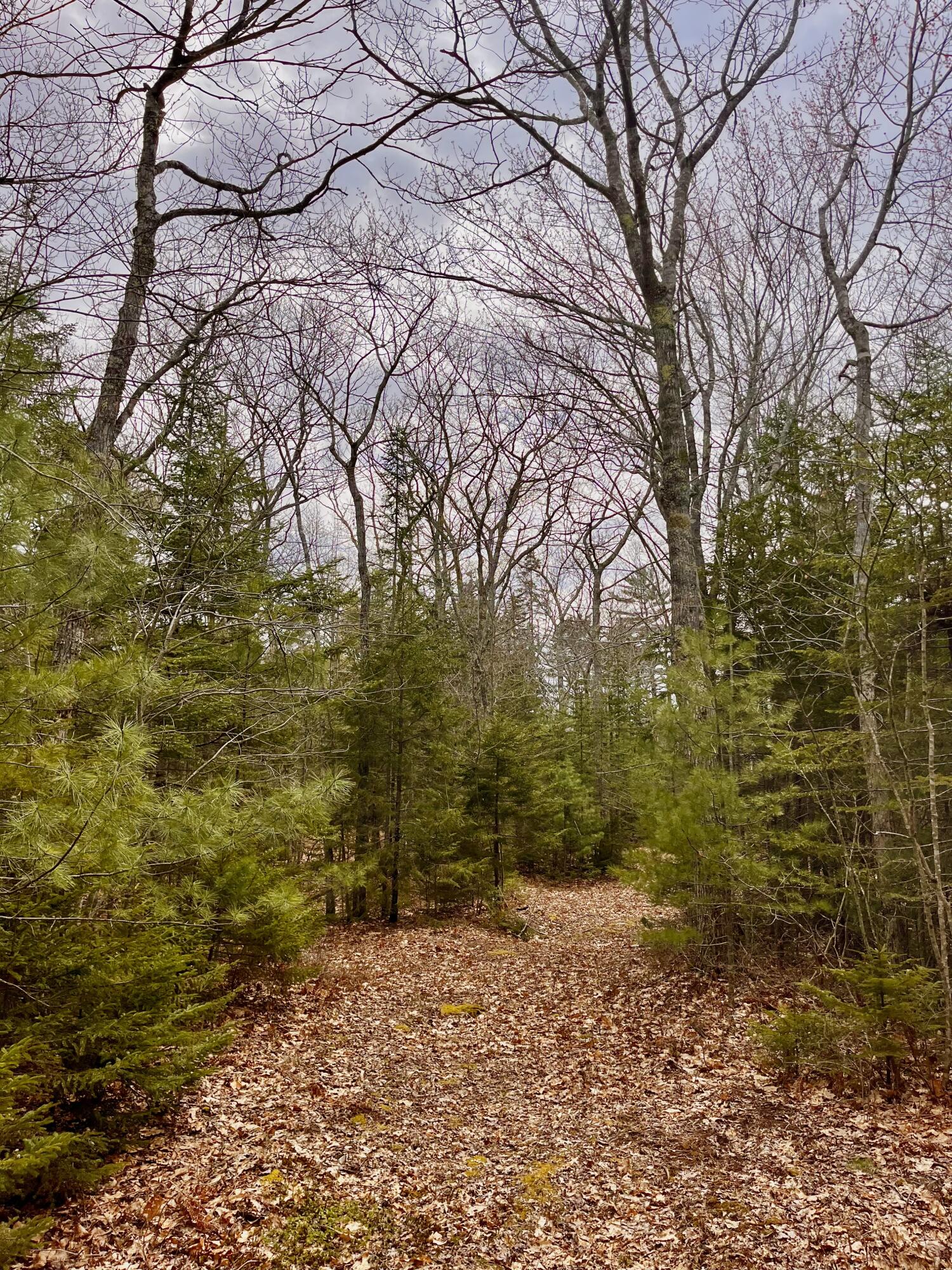92 L Russel Road Chamberlain, ME 04541 - Photo 17 of 21 IMG_6720