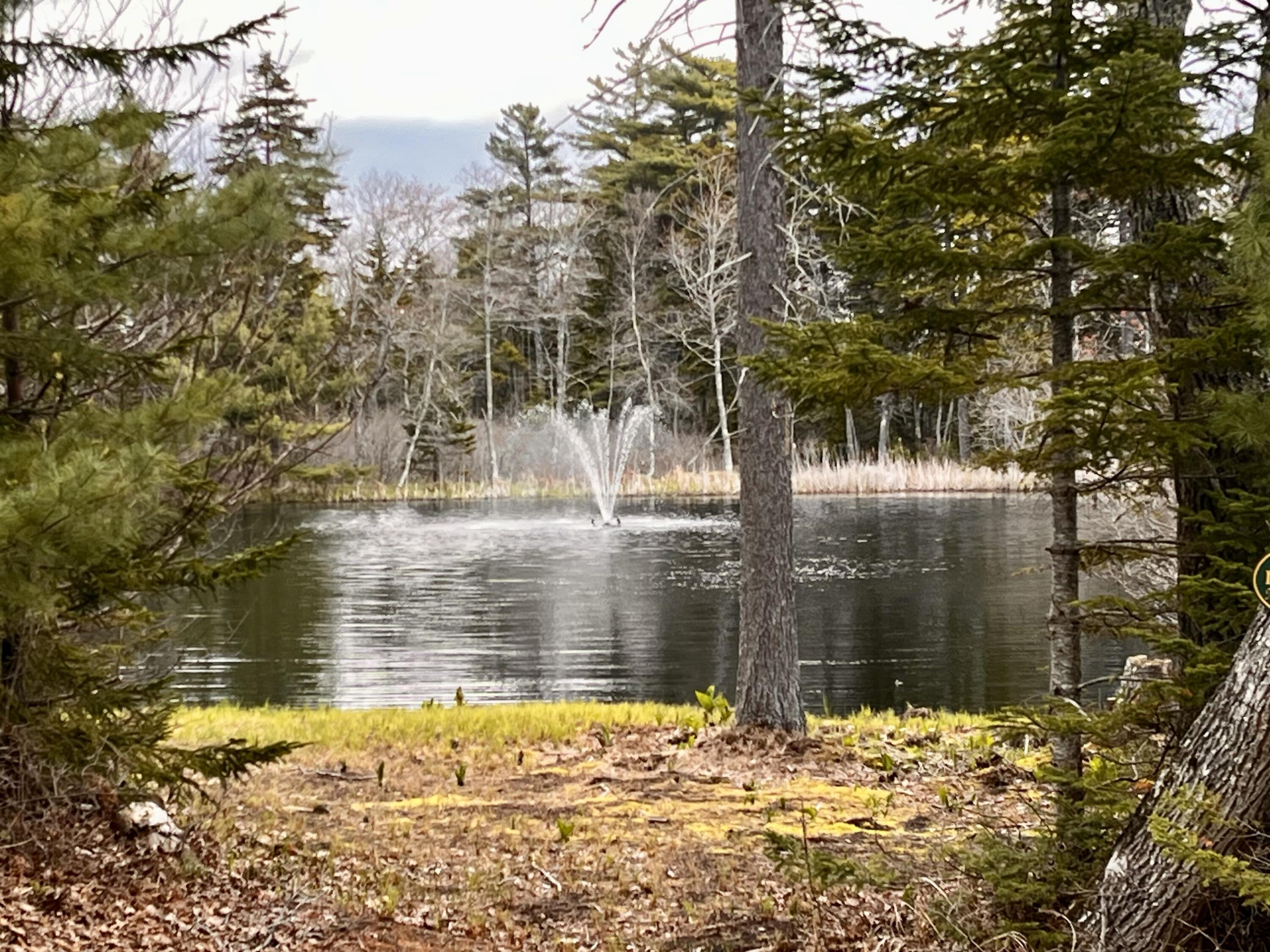 92 L Russel Road Chamberlain, ME 04541 - Photo 18 of 21 IMG_6734