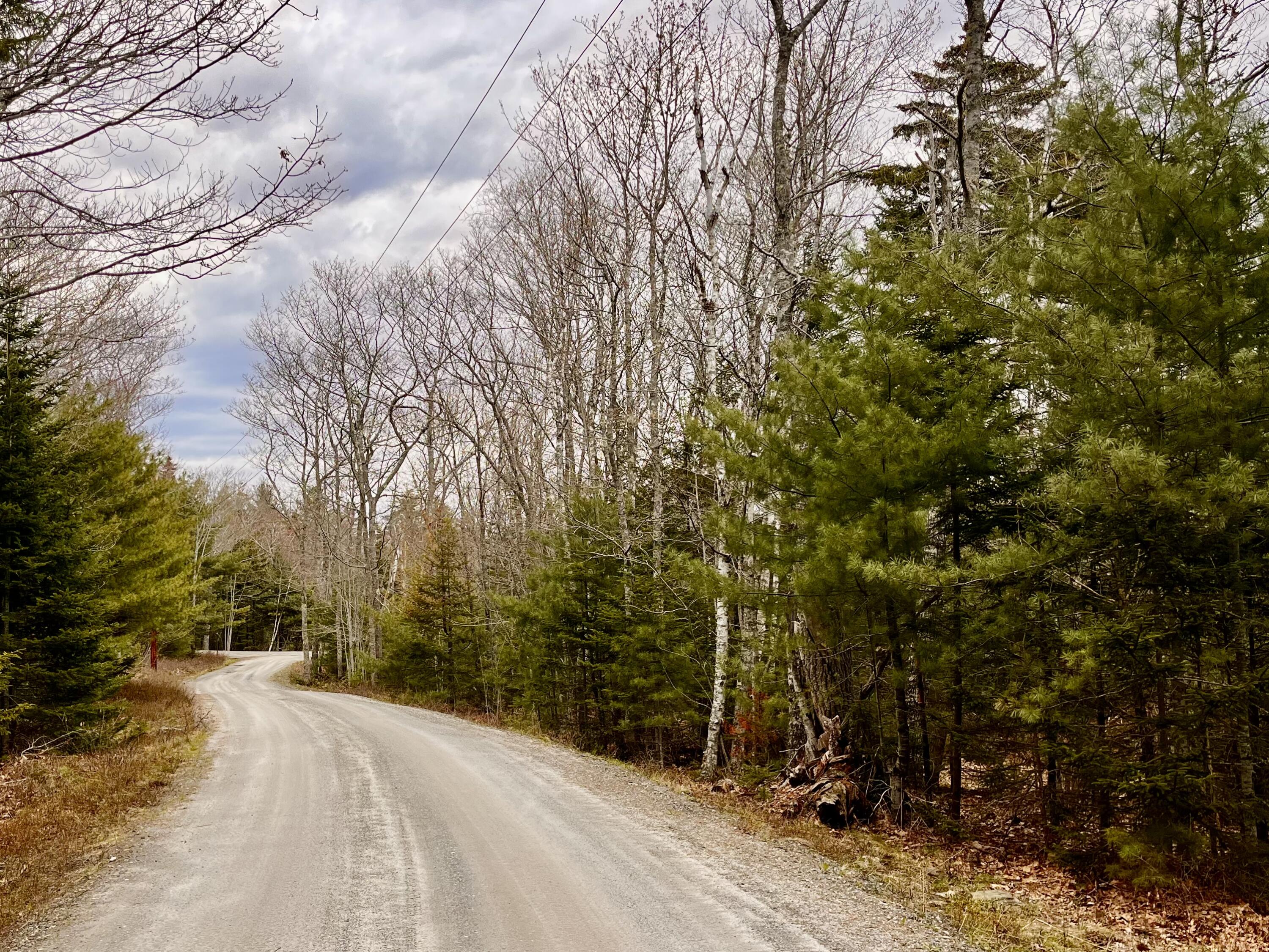 92 L Russel Road Chamberlain, ME 04541 - Photo 5 of 21 IMG_6709