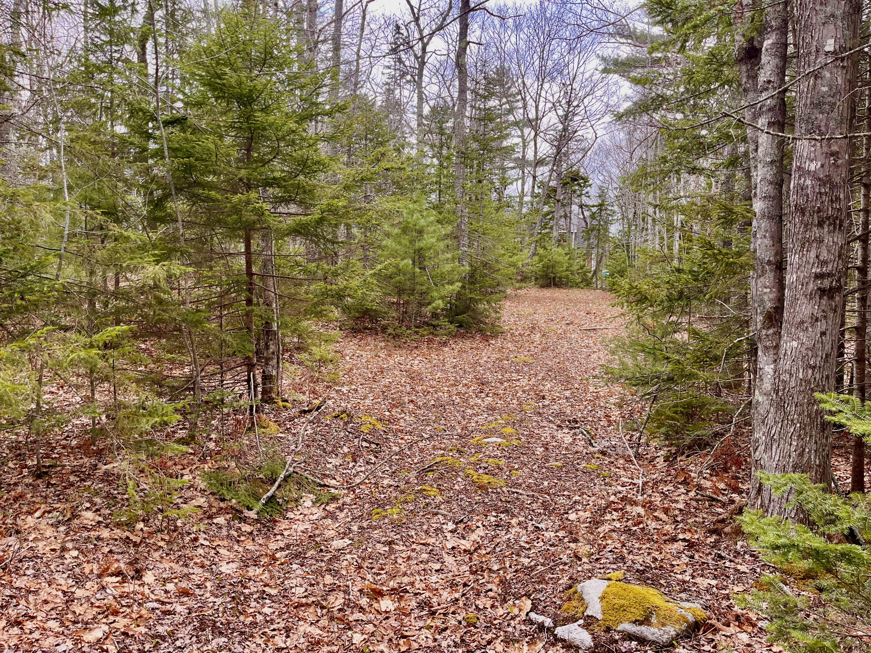 92 L Russel Road Chamberlain, ME 04541 - Photo 7 of 21 IMG_6721