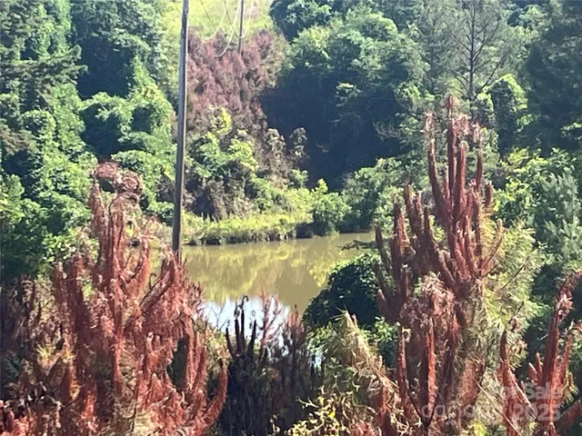 a view of lake from a yard