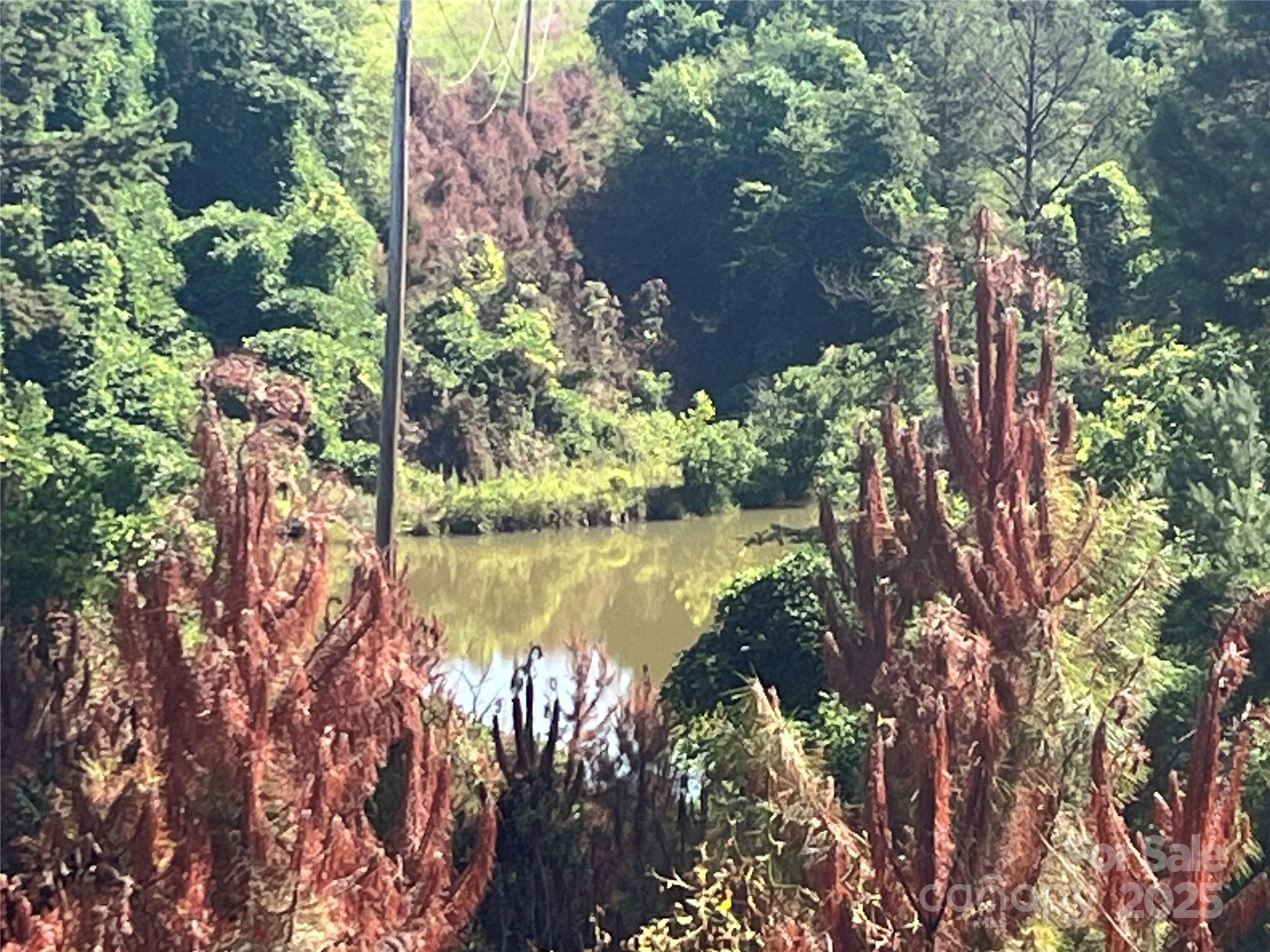 a view of lake from a yard