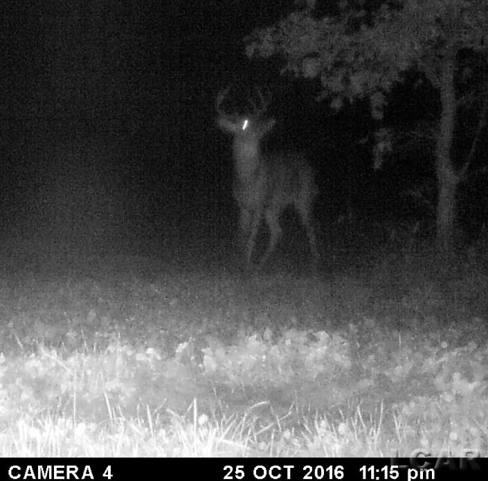 Vac East Blue Ridge Road Napoleon, MI 49261 - Photo 16 of 32