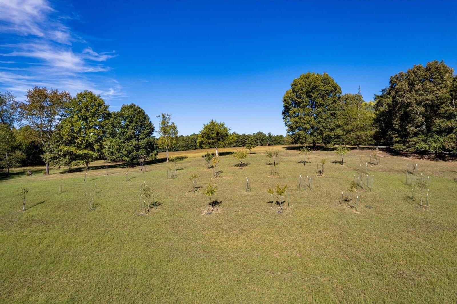 250 Spivey Road Dayton, TN 37321 - Photo 9 of 75 Gallery Image 9