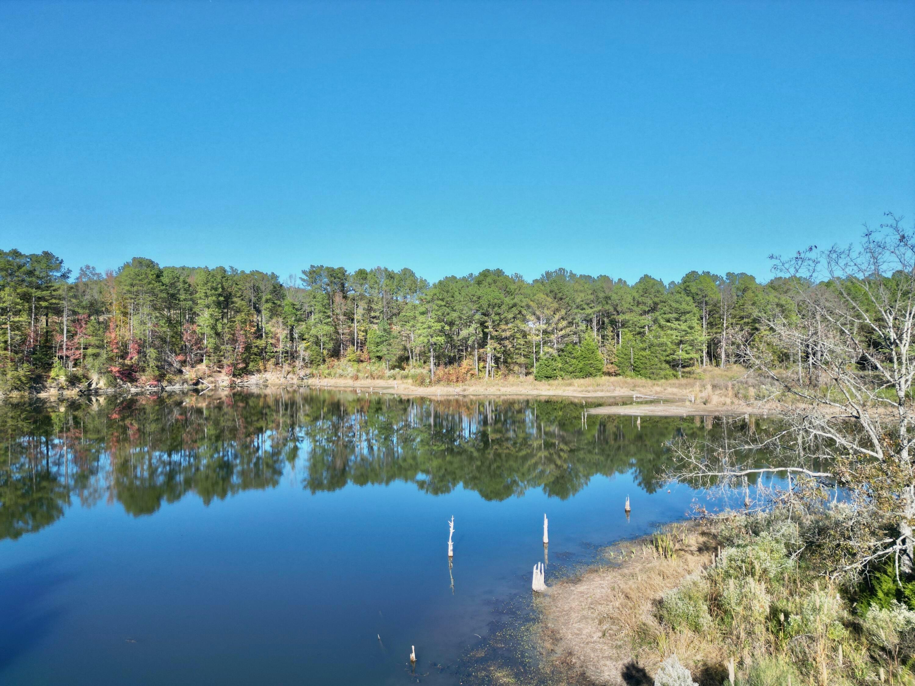0 Homestead Road Carbon Hill, AL 35549 - Photo 13 of 35 dji_fly_20251103_213122_189_176230475486