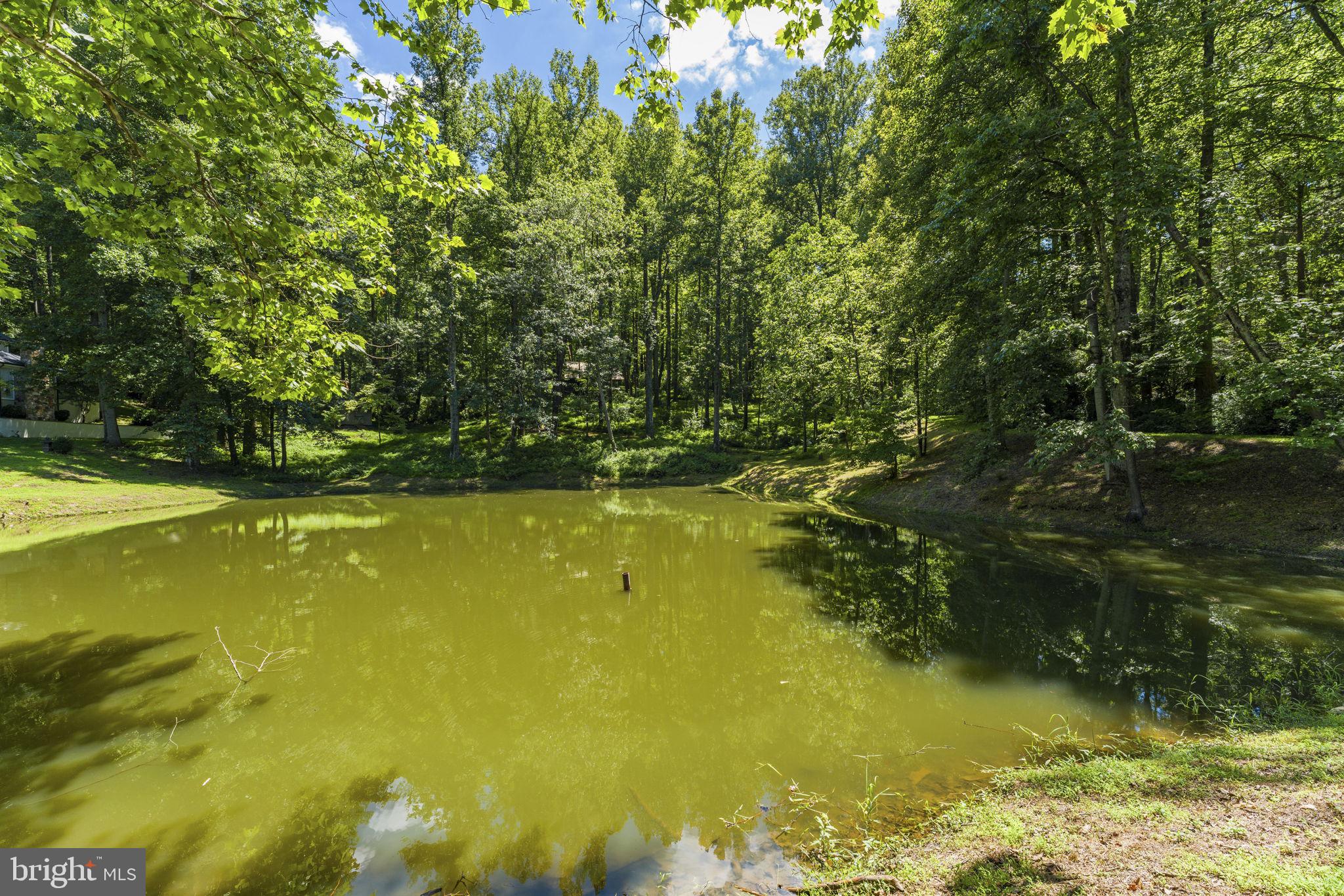 4639 Hopewell Road The Plains, VA 20198 - Photo 27 of 58