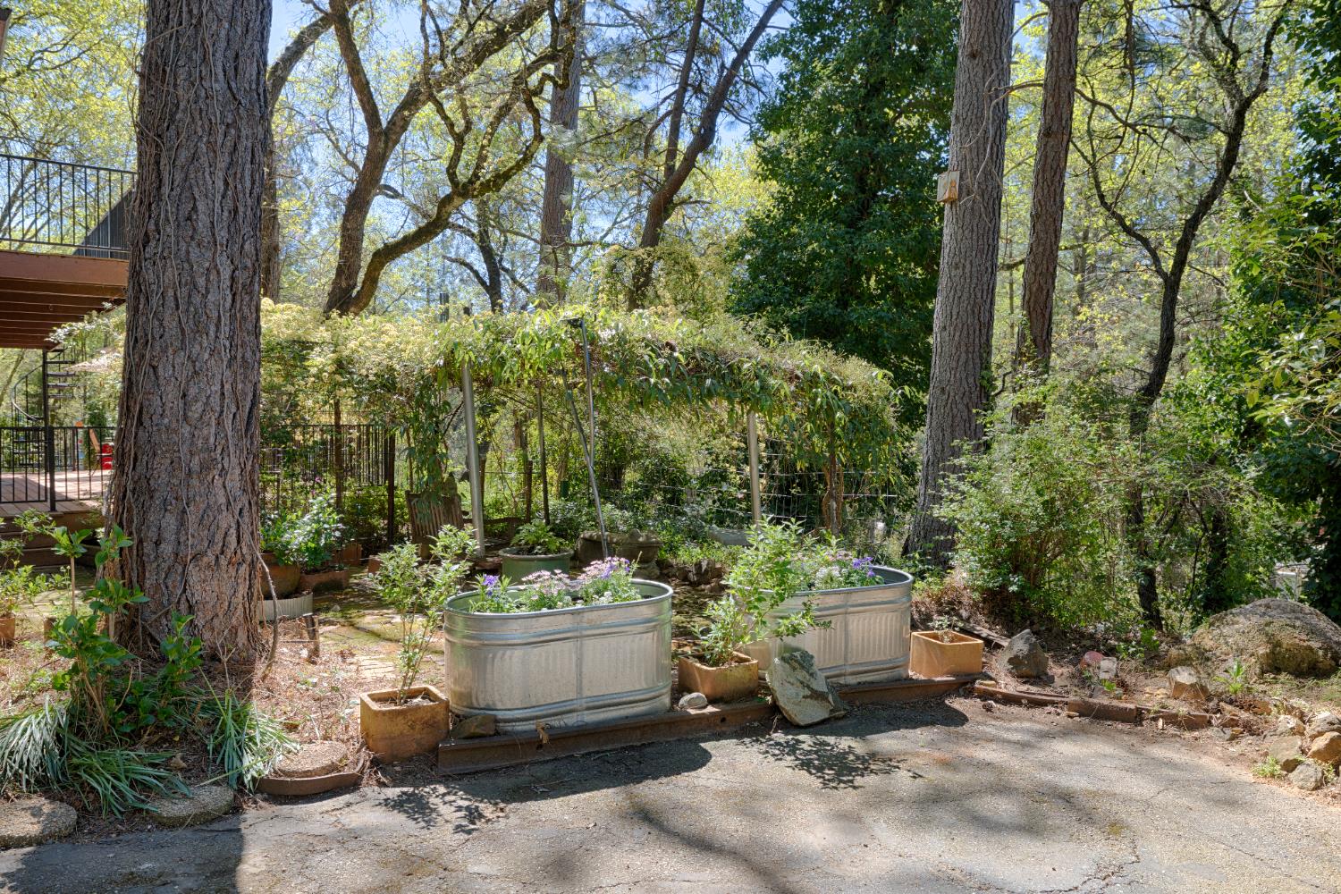 1250 Combie Road Meadow Vista, CA 95722 - Photo 2 of 31