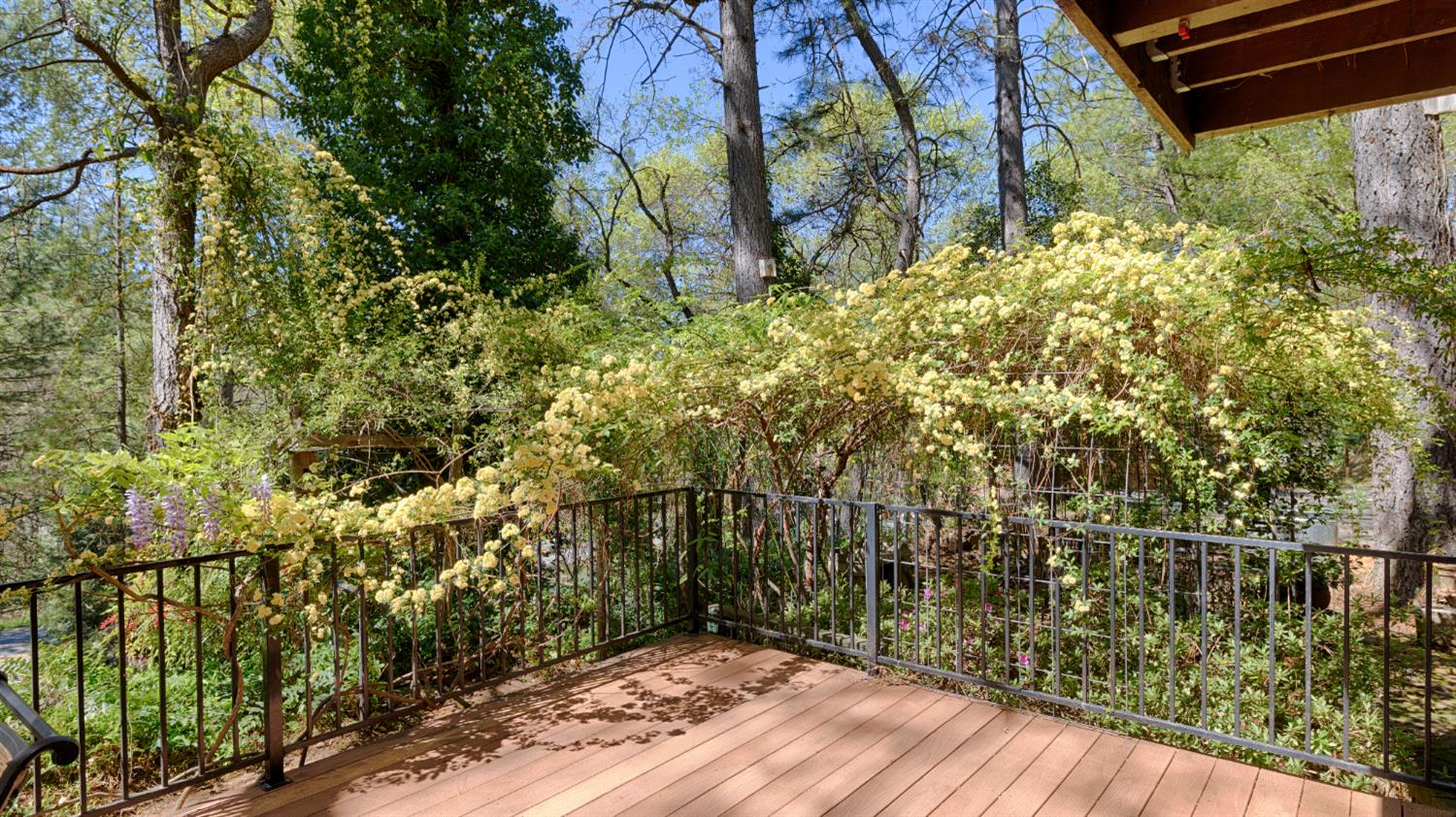 1250 Combie Road Meadow Vista, CA 95722 - Photo 24 of 31