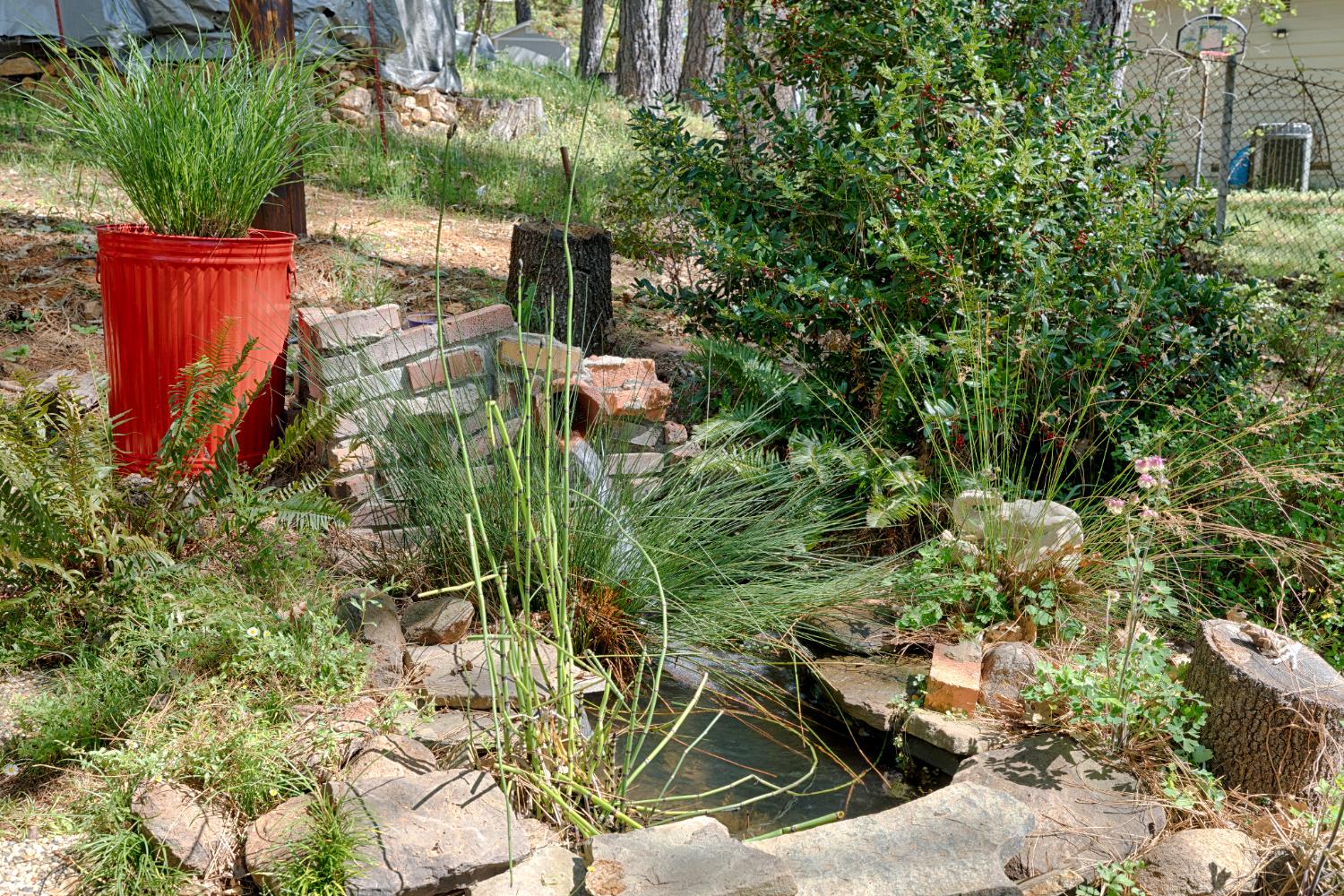 1250 Combie Road Meadow Vista, CA 95722 - Photo 27 of 31