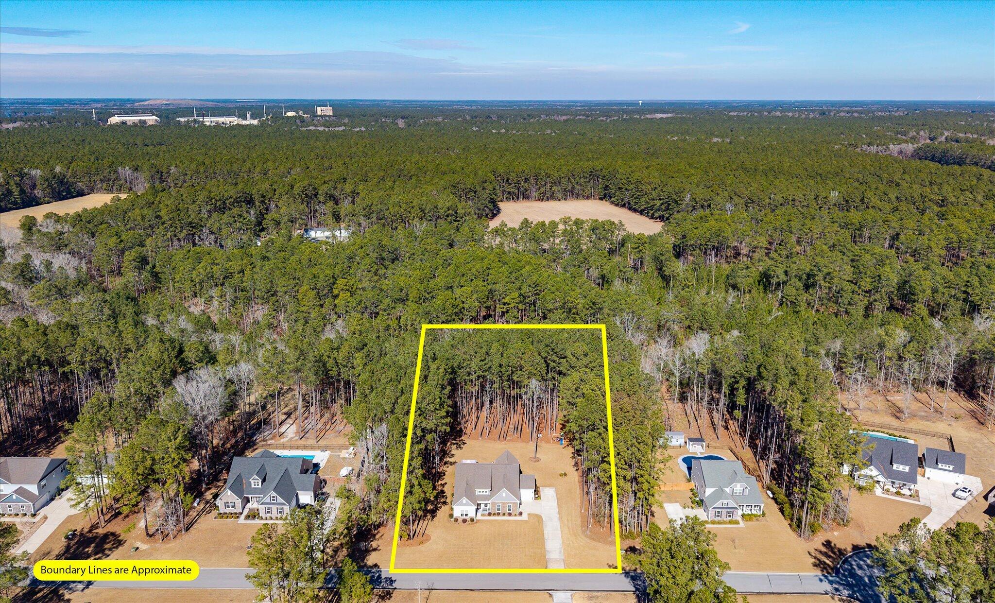 1119 Etowah Drive Ridgeville, SC 29472 - Photo 40 of 53 Overview