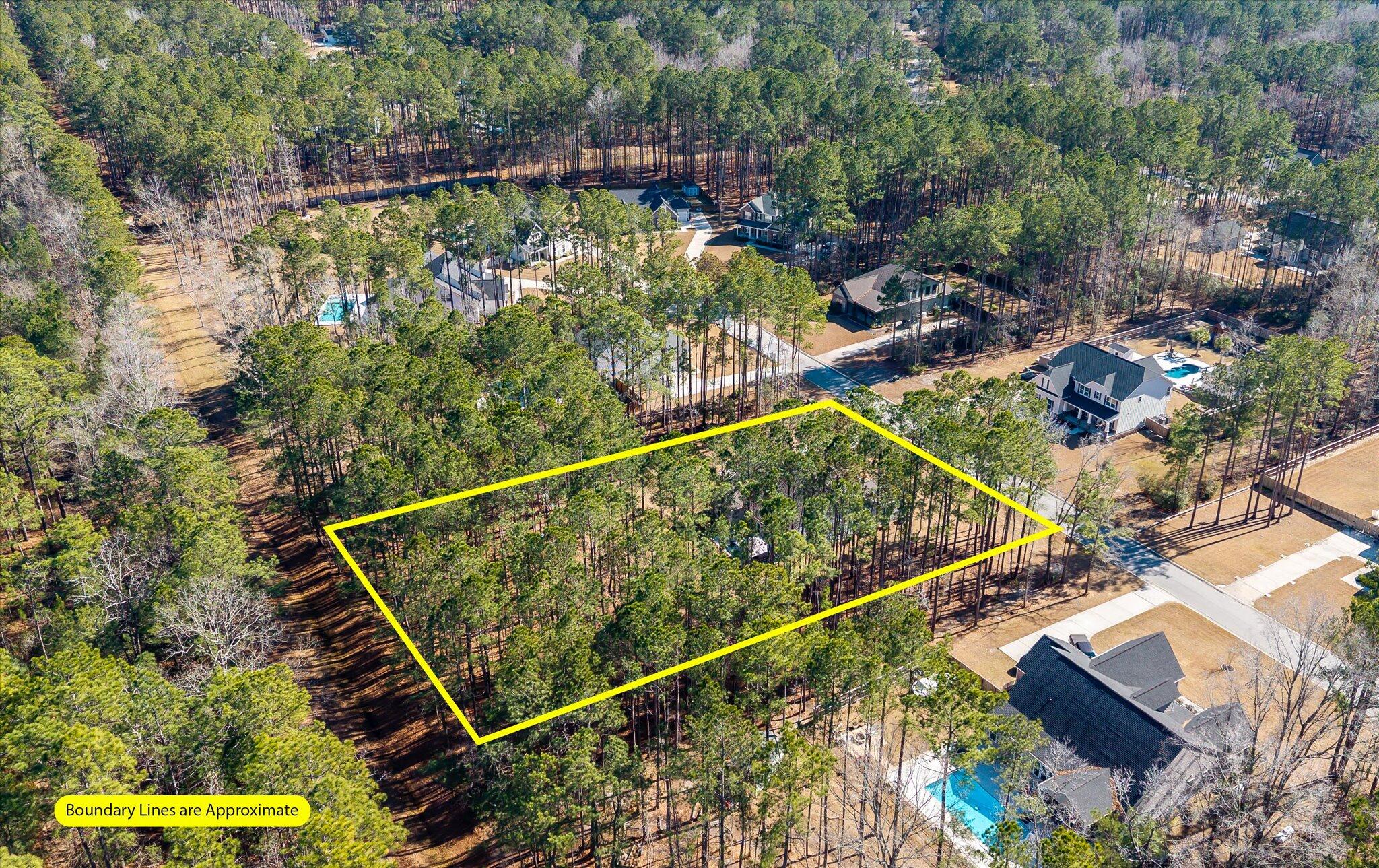 1119 Etowah Drive Ridgeville, SC 29472 - Photo 41 of 53 Overview