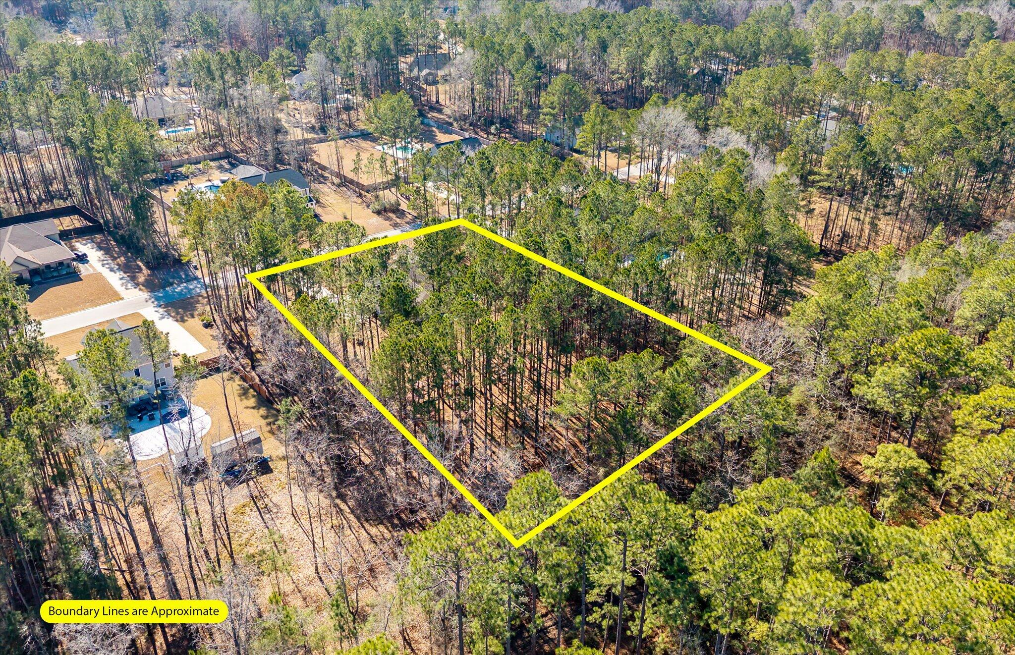 1119 Etowah Drive Ridgeville, SC 29472 - Photo 42 of 53 Overview