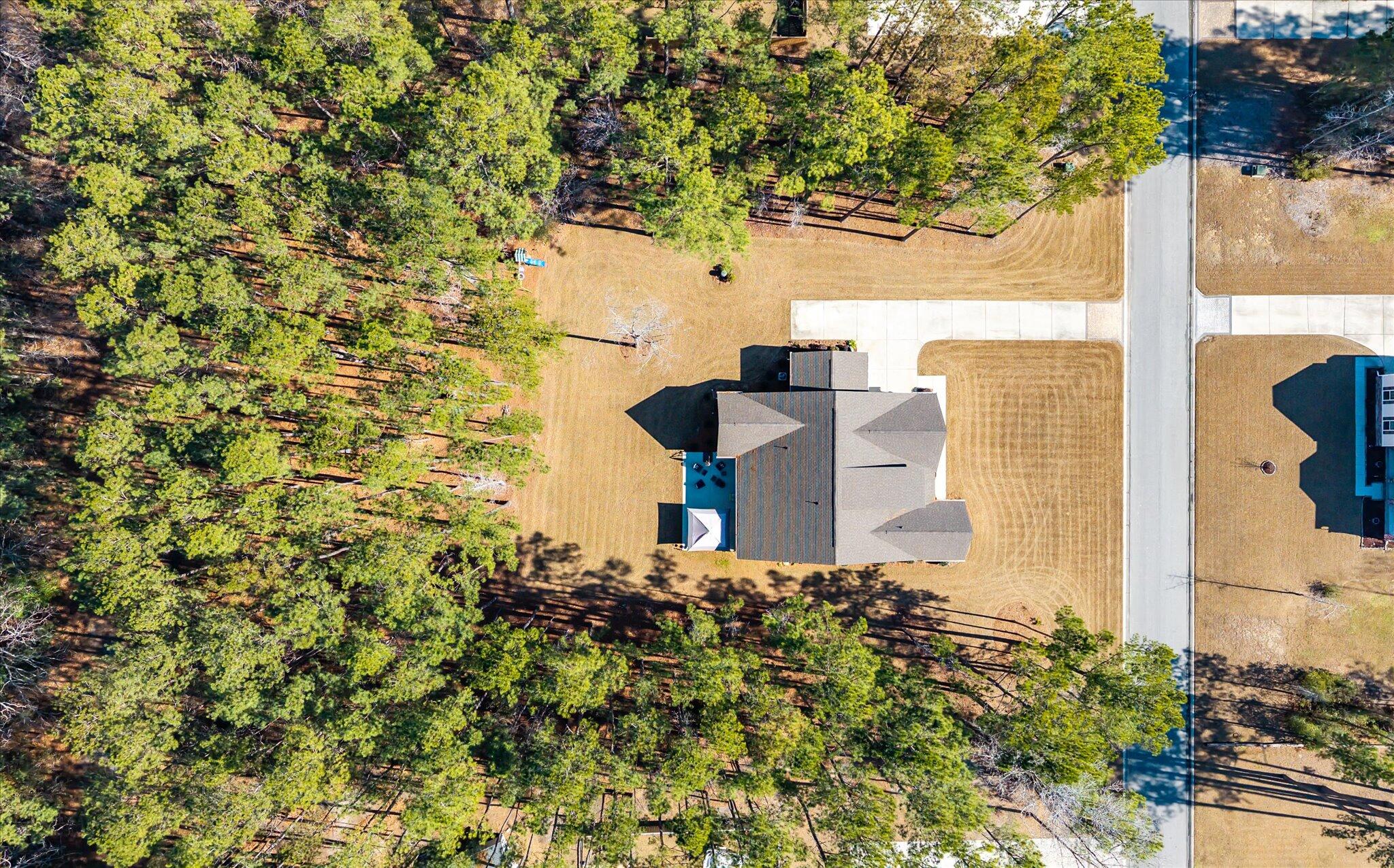 1119 Etowah Drive Ridgeville, SC 29472 - Photo 43 of 53 Overview