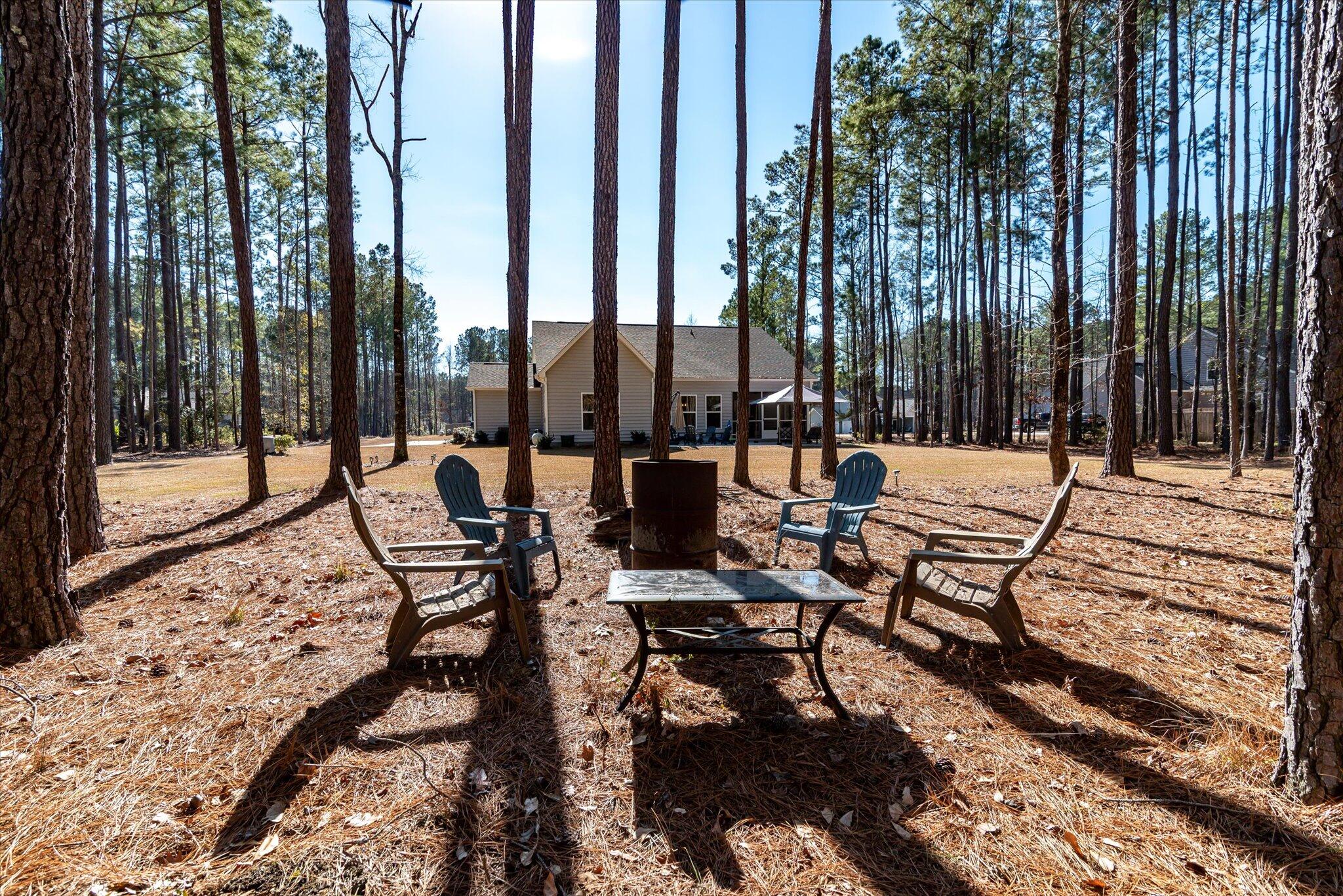 1119 Etowah Drive Ridgeville, SC 29472 - Photo 45 of 53 Rear View