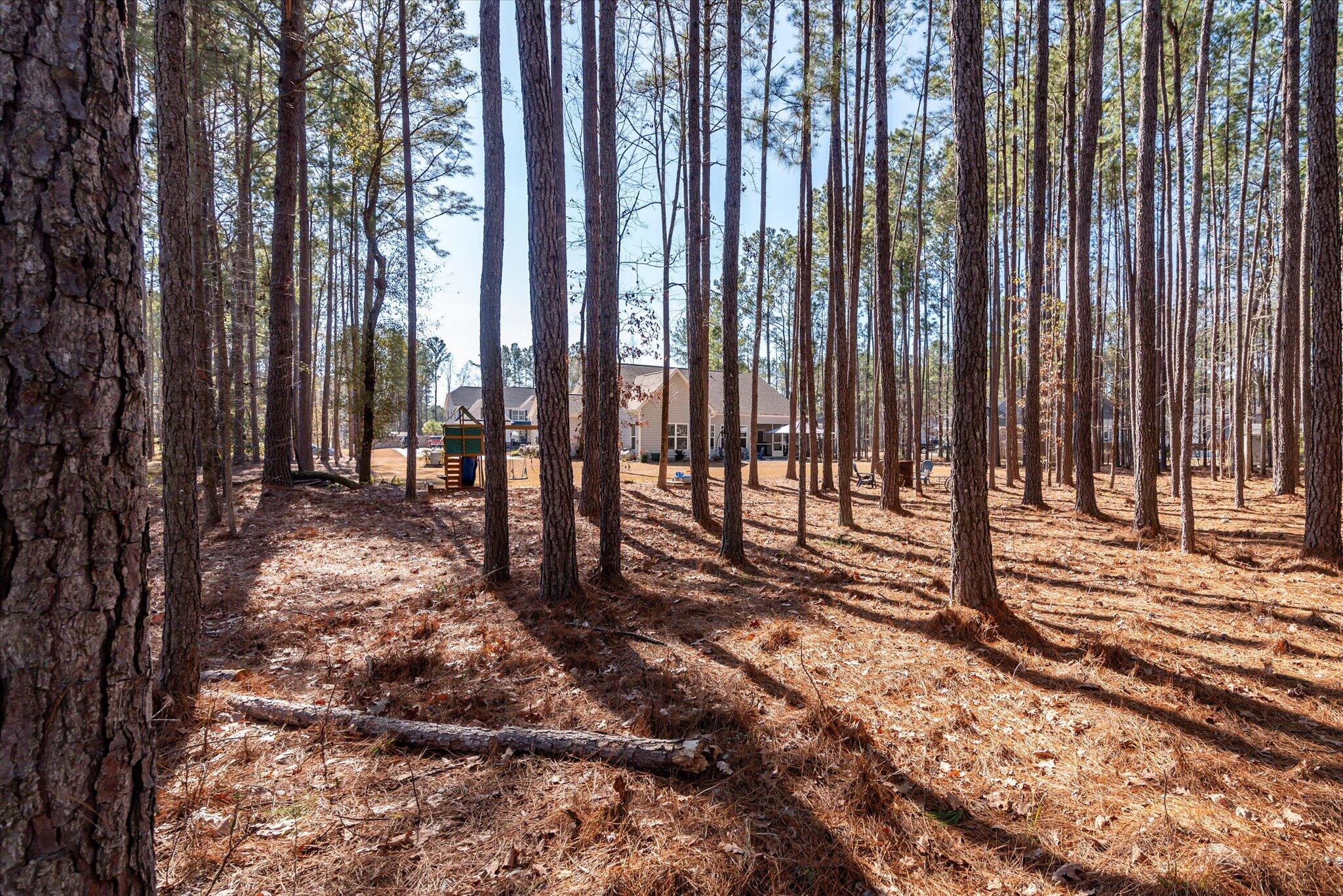 1119 Etowah Drive Ridgeville, SC 29472 - Photo 46 of 53 Rear View