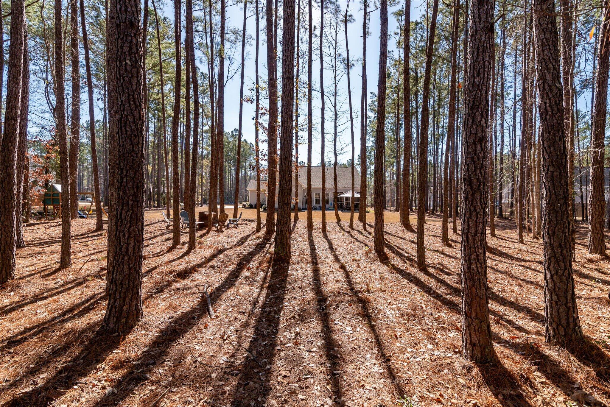 1119 Etowah Drive Ridgeville, SC 29472 - Photo 47 of 53 Rear View
