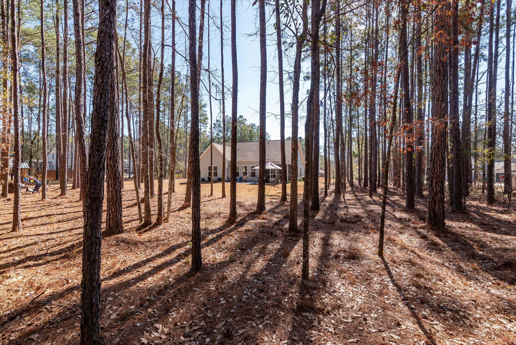 1119 Etowah Drive Ridgeville, SC 29472 - Photo 48 of 53 Rear View