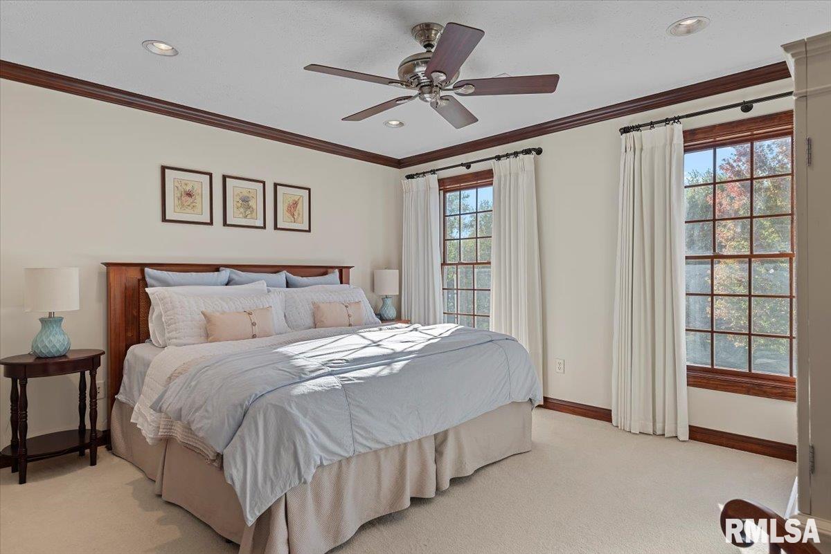 7355 New City Road Rochester, IL 62563 - Photo 36 of 87