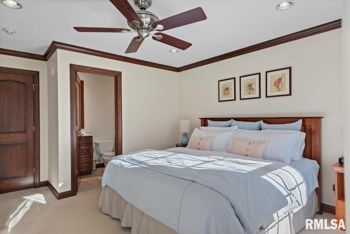 7355 New City Road Rochester, IL 62563 - Photo 37 of 87