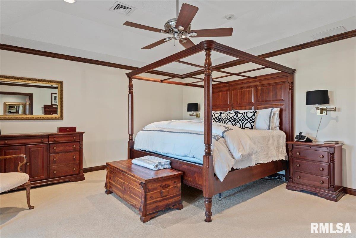 7355 New City Road Rochester, IL 62563 - Photo 41 of 87