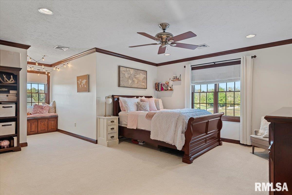 7355 New City Road Rochester, IL 62563 - Photo 49 of 87