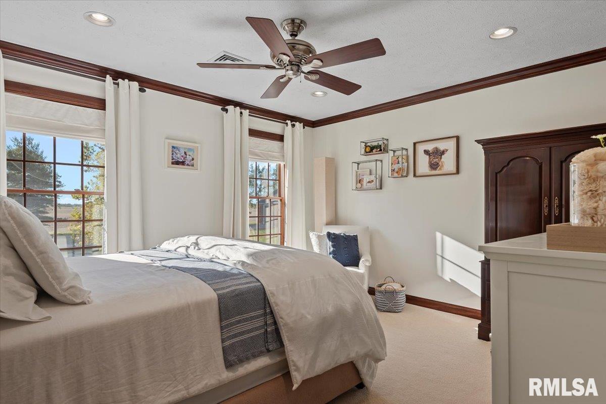 7355 New City Road Rochester, IL 62563 - Photo 52 of 87