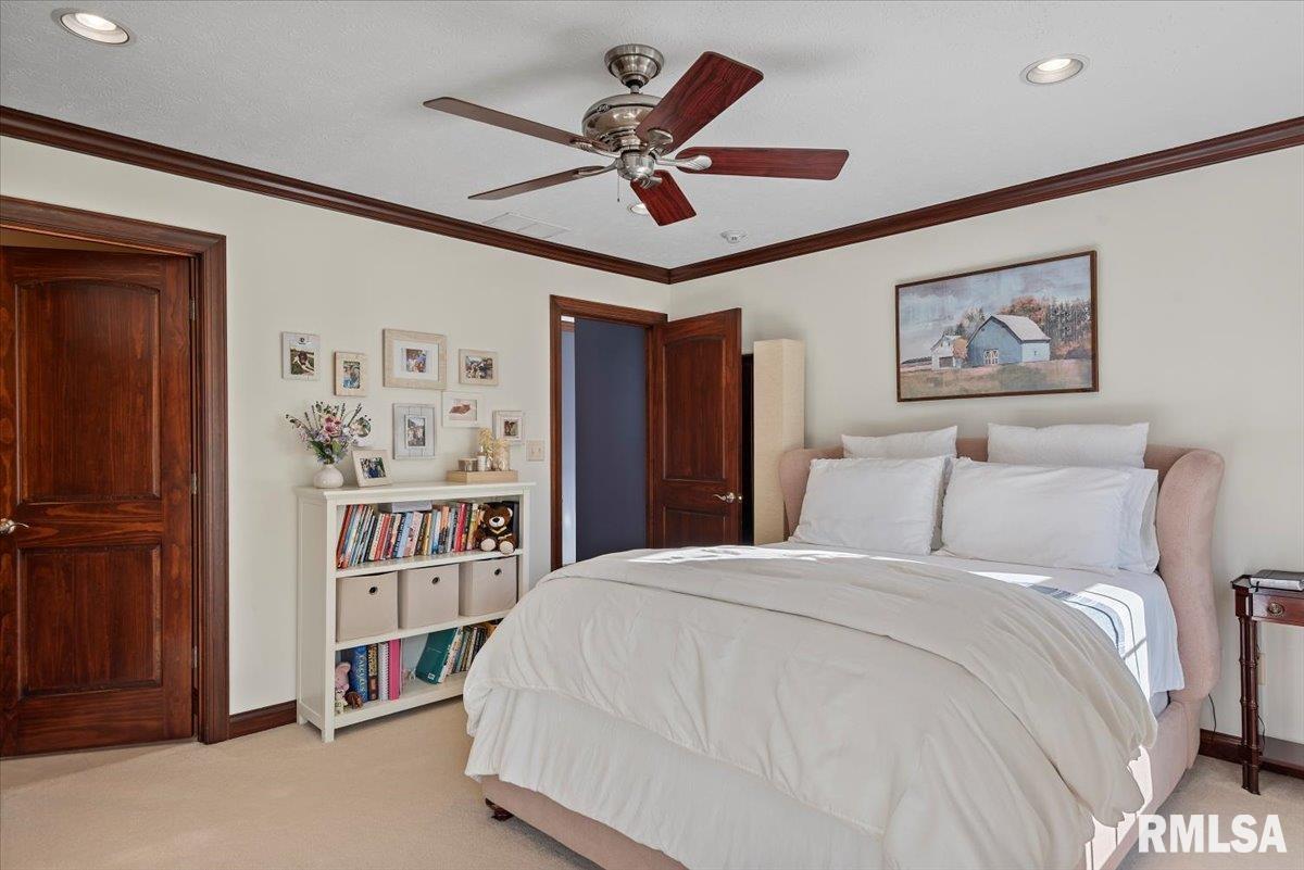 7355 New City Road Rochester, IL 62563 - Photo 53 of 87