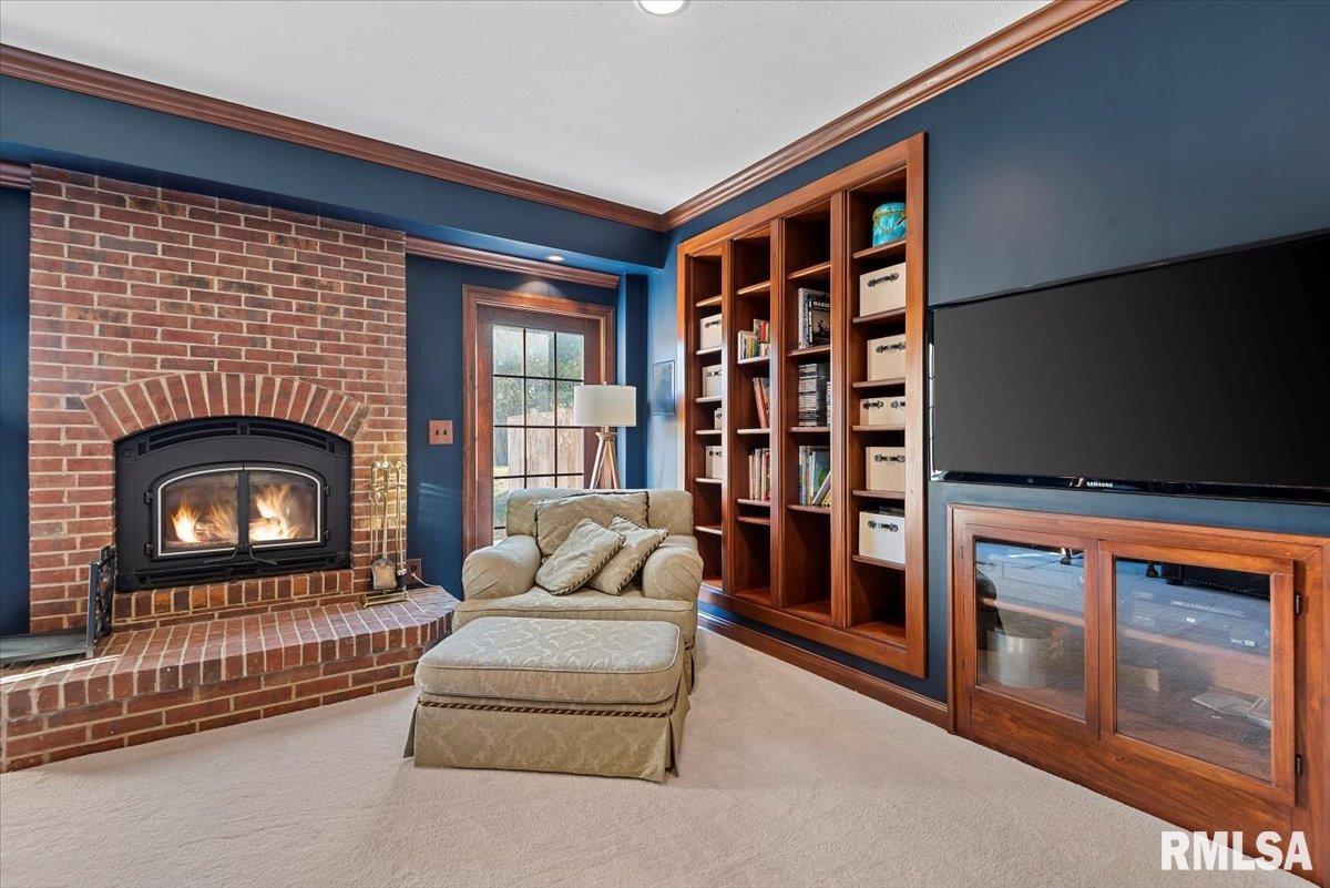 7355 New City Road Rochester, IL 62563 - Photo 55 of 87