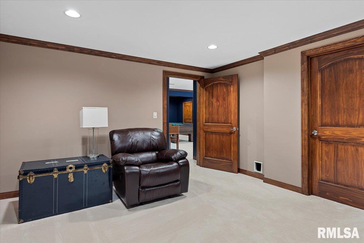 7355 New City Road Rochester, IL 62563 - Photo 62 of 87