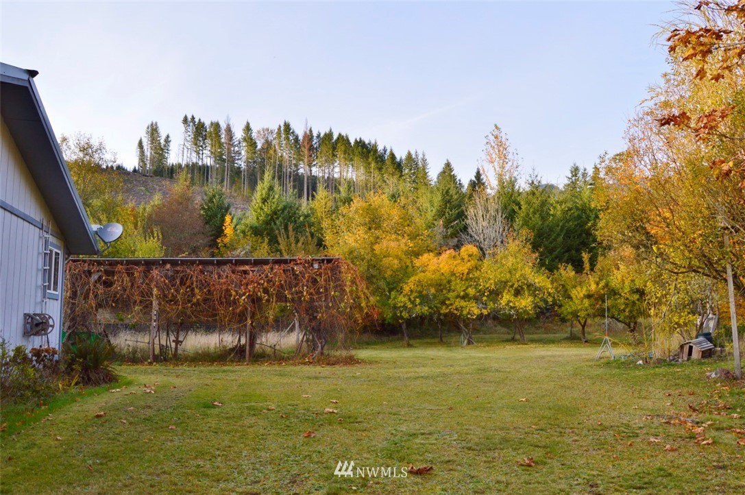 306-40 Kiona Road Randle, WA 98377 - Photo 20 of 25 Gallery Image 20
