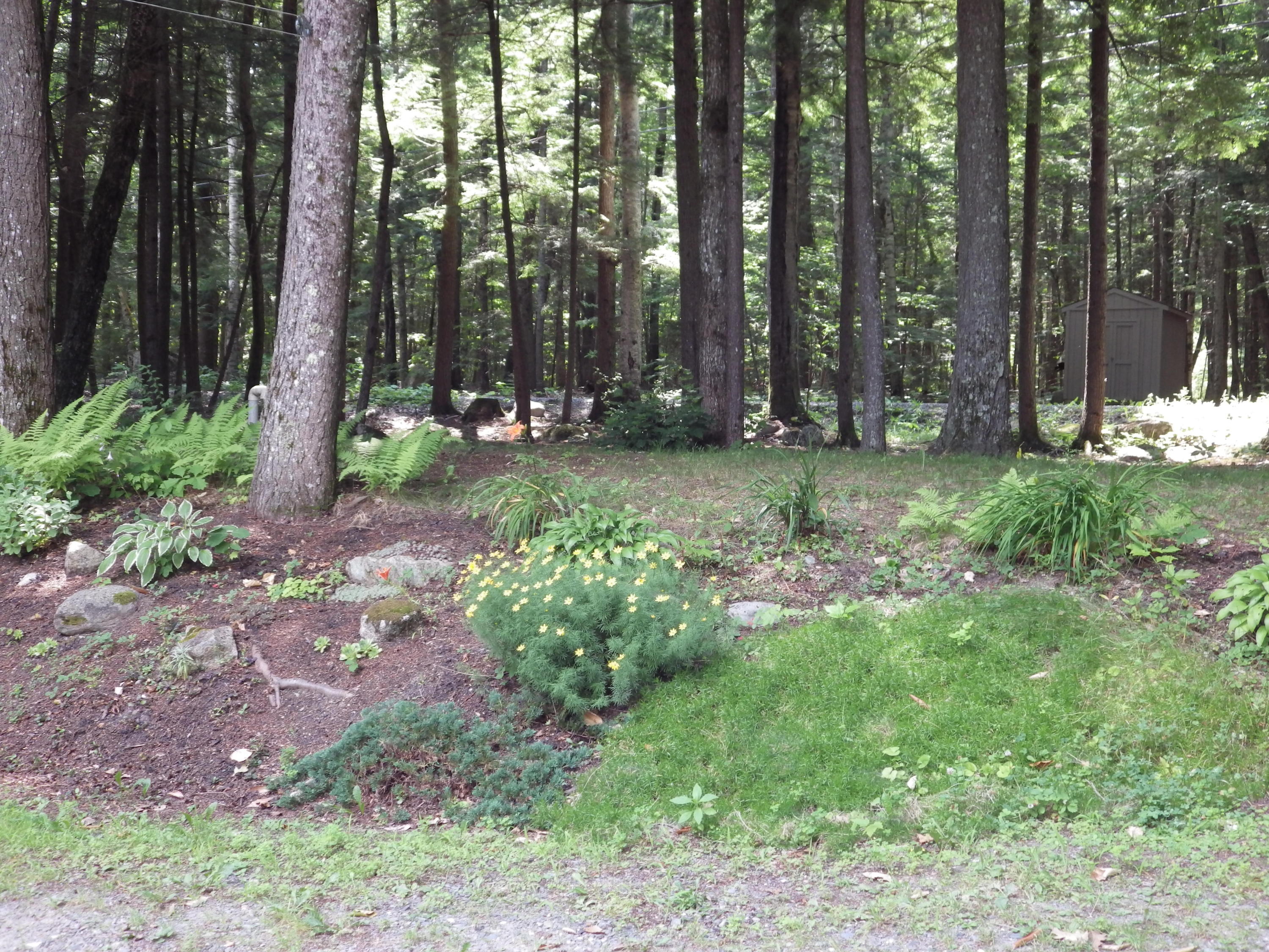 149 Mountain Drive Rome, ME 04963 - Photo 39 of 43 IMGP7639