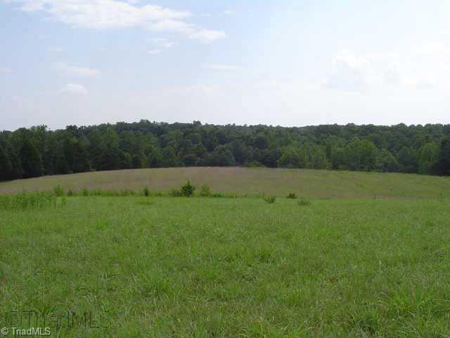 702 Anderson Road Siloam, NC 27047 - Photo 7 of 9 Other. Fields