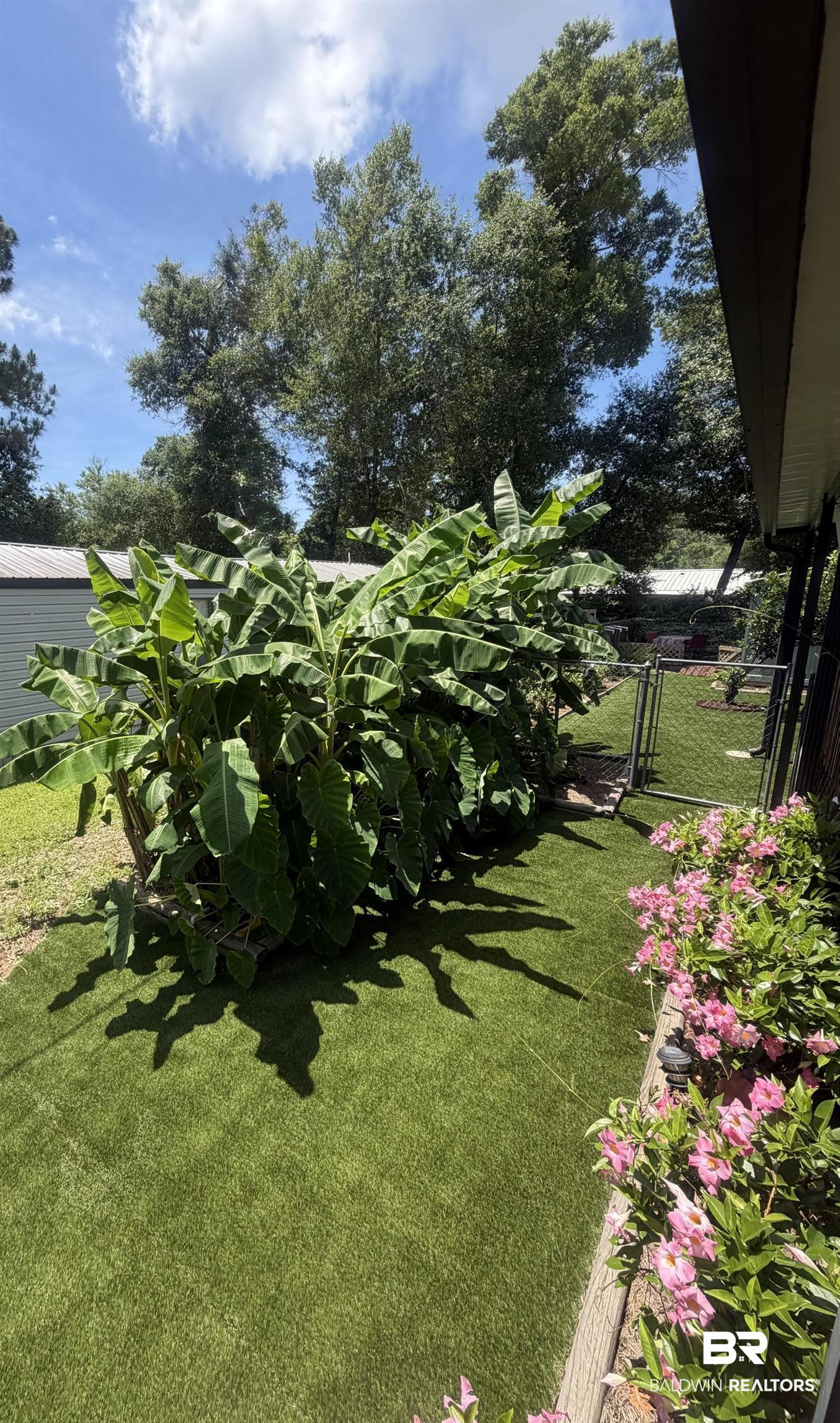 1620 Del Rey Drive Lillian, AL 36549 - Photo 3 of 45 Lush backyard featuring artificial turf, mature tropical foliage, and flowering shrubs