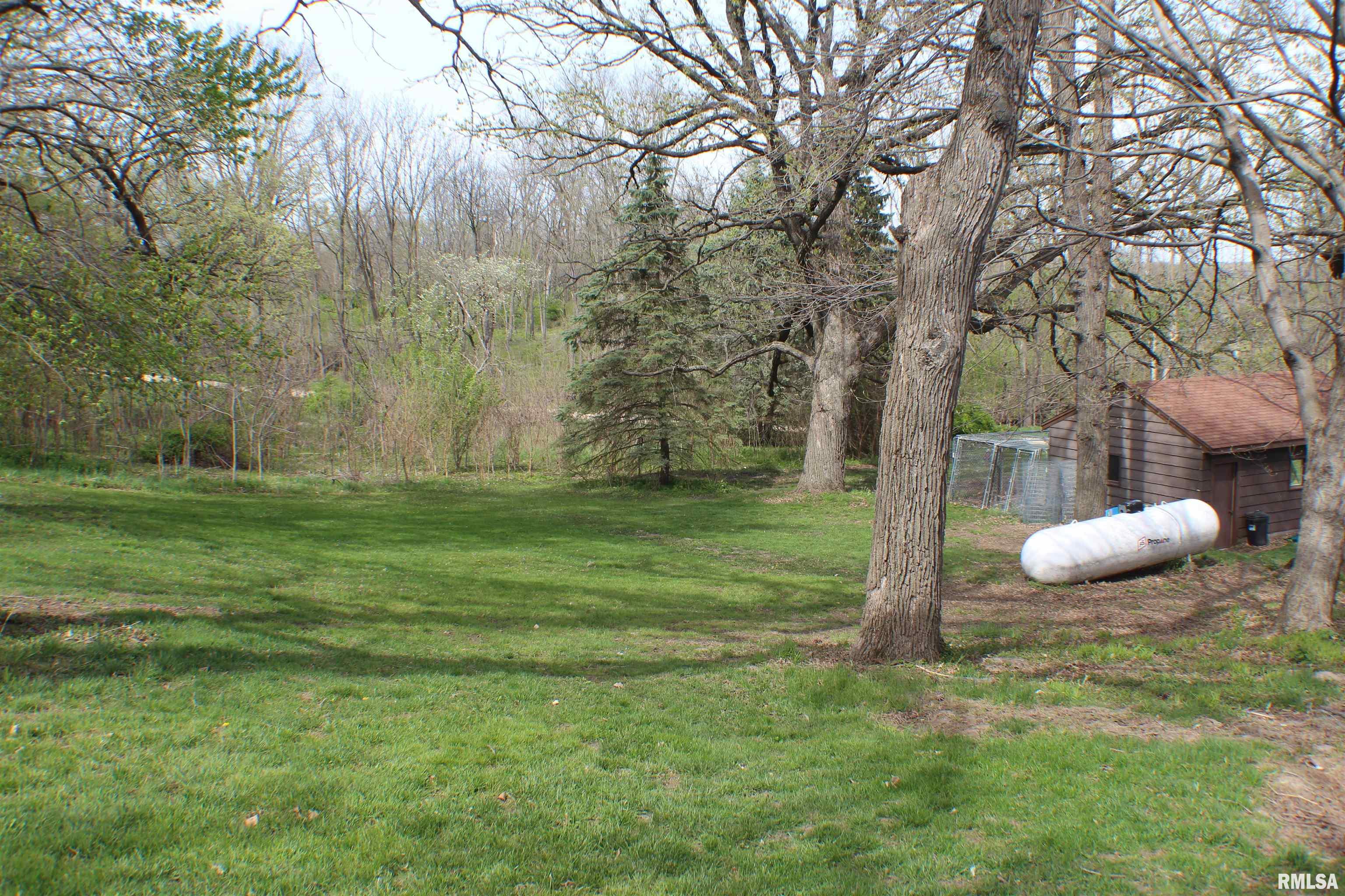 2195 Harvey Road Albany, IL 61230 - Photo 25 of 32