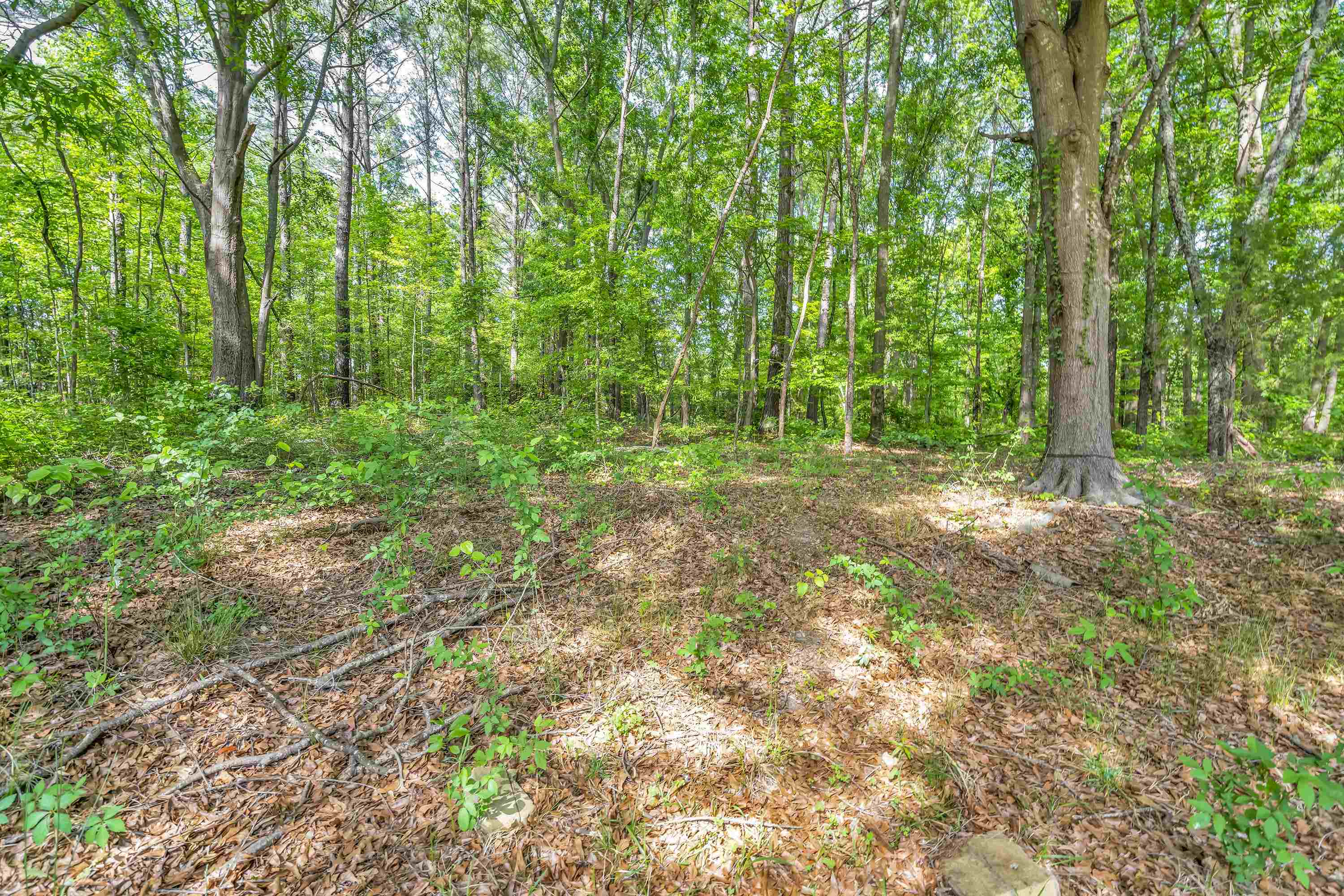 220 Casey Creek Road Chesnee, SC 29323 - Photo 26 of 30