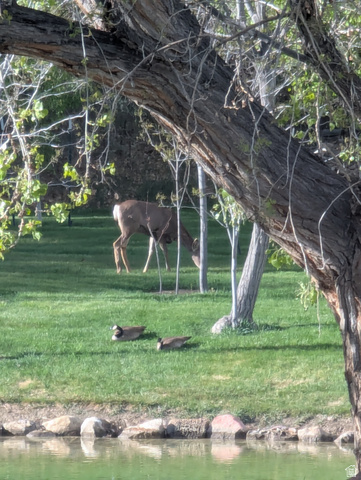 1040 West Mill Road Ferron, UT 84523 - Photo 74 of 117 Additional content